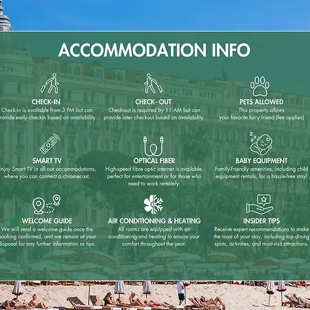Lb Vacation I A Quiet Place With Terrace In The Heart Of * Cannes