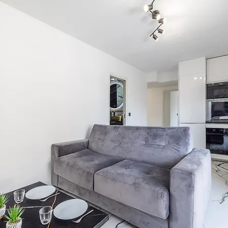 Cannes 40 M² Terrace & Included Parking